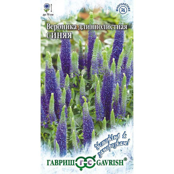 Вероника длиннолистная синяя Гавриш Ц 