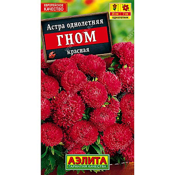 Астра Гном Красная Аэлита Ц 