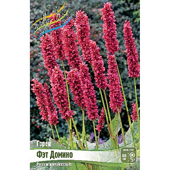 Горец Фэт Домино I 1 шт