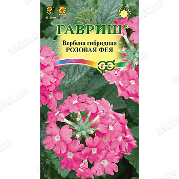 Вербена Розовая фея Гавриш Ц 