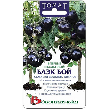 Томат Блэк Бой Биготехника Ц