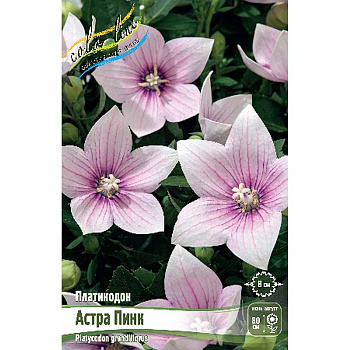 Платикодон Астра Пинк I 50 шт Биг-Пак 6342 