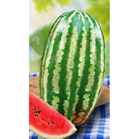 Арбуз Волжанин 1г Садовита Ц