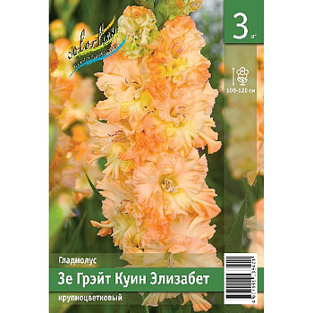 Гладиолус Зе Грэйт Куин Элизабет 10/12 3 Эконом шт 