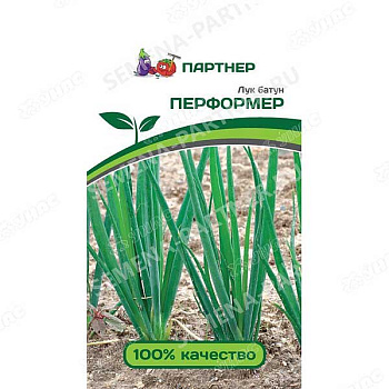 Лук батун Перформер Партнер Ц