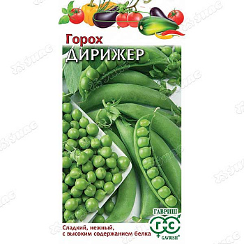 Горох Дирижёр Гавриш Ц