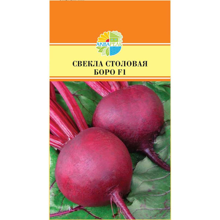 Свекла Боро Маринда/Акварель