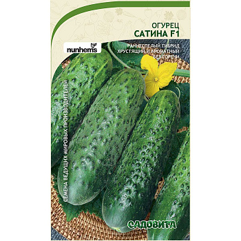 Огурец Сатина F1 5шт Nunhems/Садовита Ц
