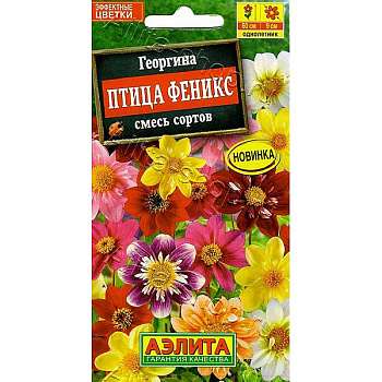 Георгин Птица Феникс Аэлита Ц х10 