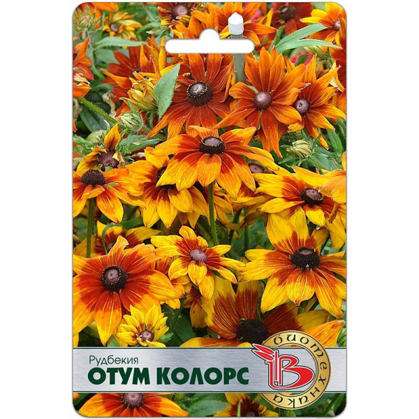 Рудбекия Отум Колорс Биотехника Ц 