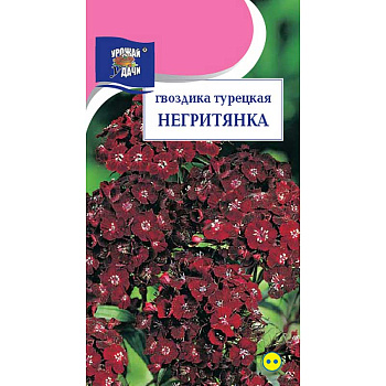 Гвоздика Негритянка Урожай у дачи Ц 