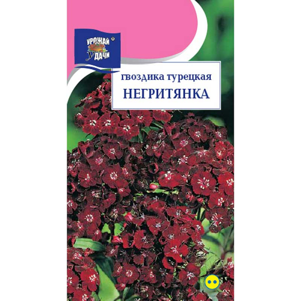 Гвоздика Негритянка Урожай у дачи Ц 