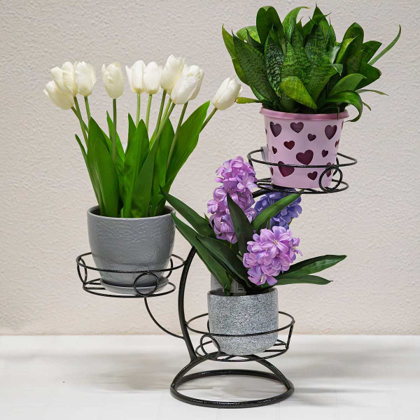 Подставка для цветов "Фиалка 3" чёрный (3 корзины)