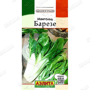 Мангольд Барезе Аэлита Ц