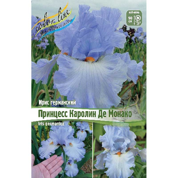 Ирис Германский Принцесс Каролин Де Монако I 25 шт Биг-Пак 8620
