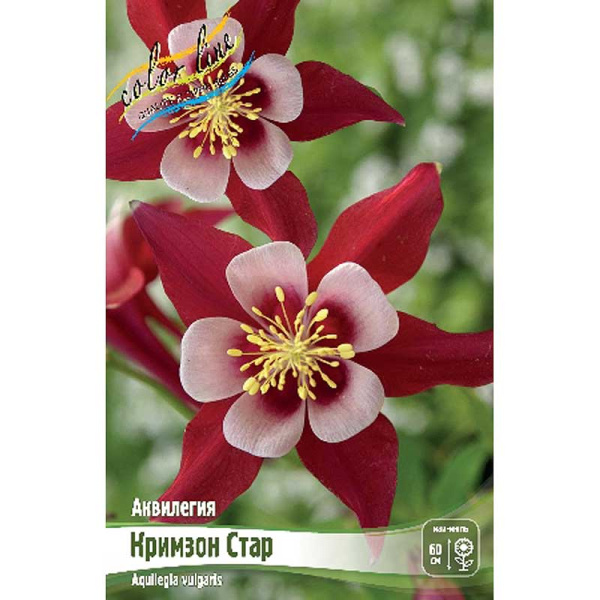 8284 Биг-Пак Аквилегия Кримзон Стар I 25 шт