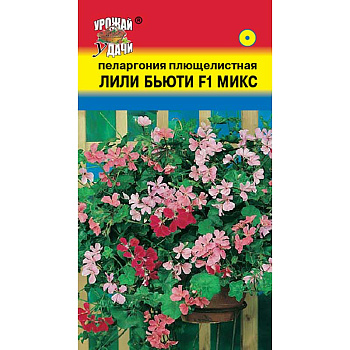 Пеларгония ЛИЛИ БЬЮТИ микс Урожай у дачи Ц 