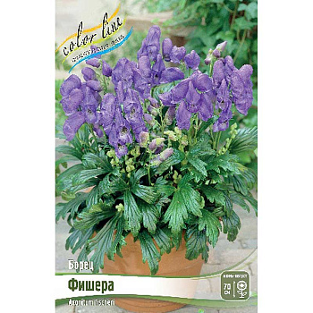 8319 Биг-Пак Борец Фишера I 25 шт