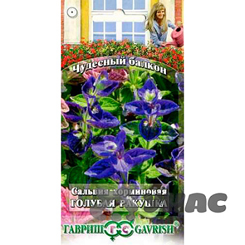 Сальвия Голубая ракушка Гавриш Ц 