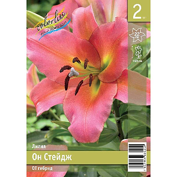 Лилия Он Стейдж 12/14 2 Эконом шт 