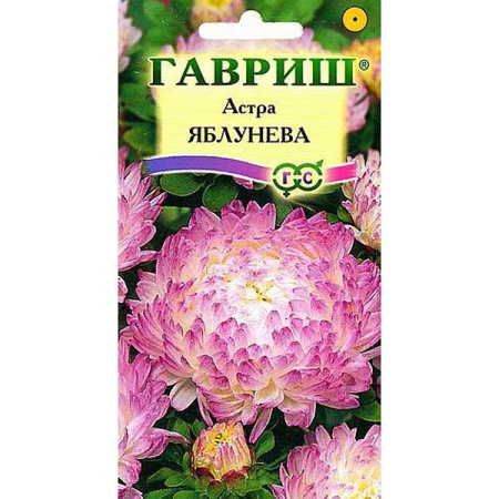 Астра Яблунева Гавриш Ц 