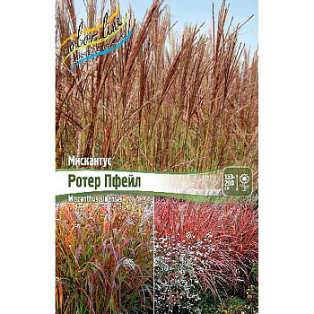 Мискантус Ротер Пфейл 2/3 25 шт Биг-Пак 4656