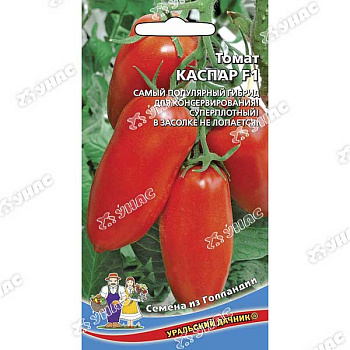 Семена Томат Каспар Марс