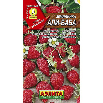 Земляника Али-Баба Аэлита Ц Земляника Али-Баба Аэлита Ц