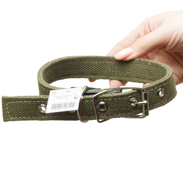 Ошейник брезентовый ширина 25 мм двойной 50 см