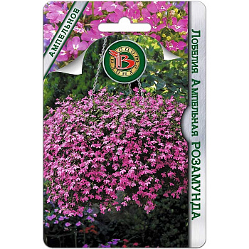 Лобелия Розамунда Биотехника Ц 