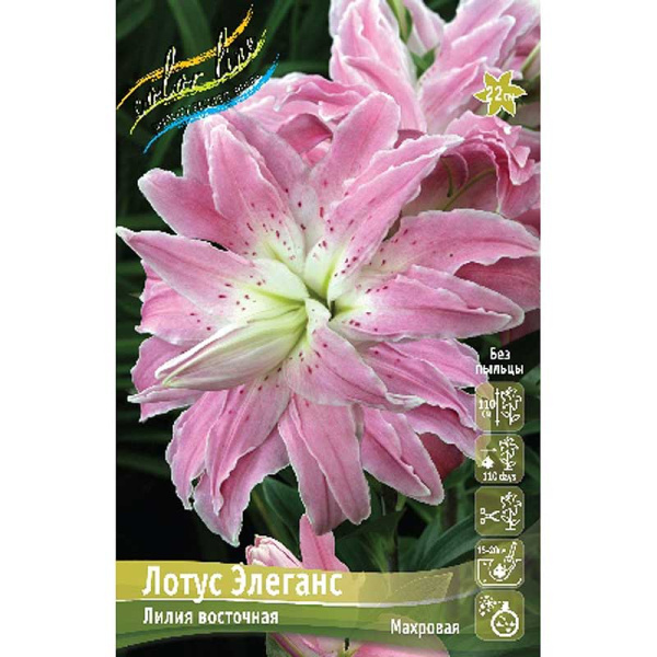 Лилия Лотус Элеганс 16/18 25 шт Биг-Пак 13777