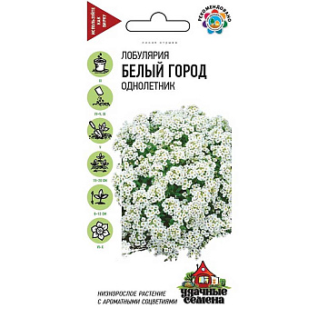 Лобулярия Белый город морская Удач сем Гавриш Ц 