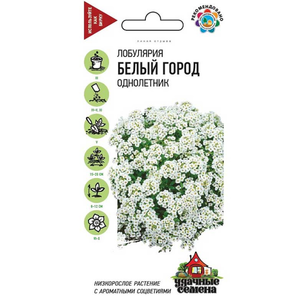 Лобулярия Белый город морская Удач сем Гавриш Ц 