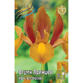 7642 Шоу-Бокс Ирис Голл. Отумн Принцесс 6/7 150 шт