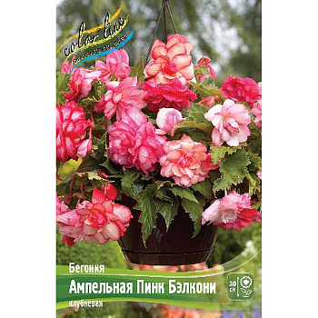 Бегония Ампельная Пинк Бэлкони 5/6 3 шт