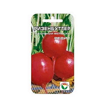 Редис Ризенбуттер СибСад Ц