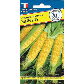 Кукуруза Минт Престиж Ц