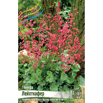 534 Биг-пак Гейхера Лейхткафер I 25 шт