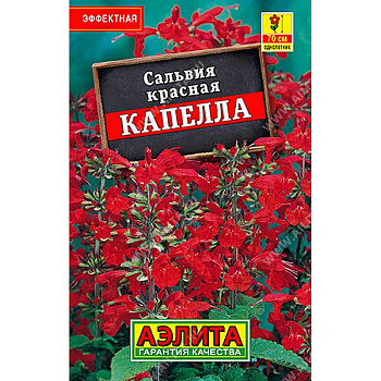 Сальвия красная Капелла "Лидер" Аэлита Ц 