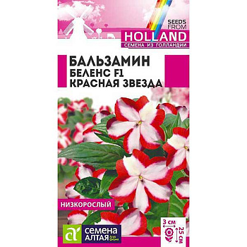 Бальзамин Беленс Красная звезда СемАлт Ц 