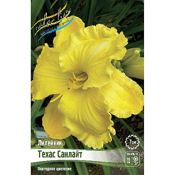 Лилейник Техас Санлайт I 25 шт Биг-пак 7848