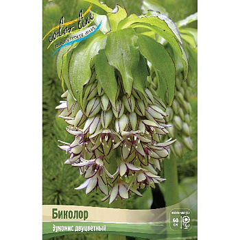 Эукомис Биколор 12/14 2 шт