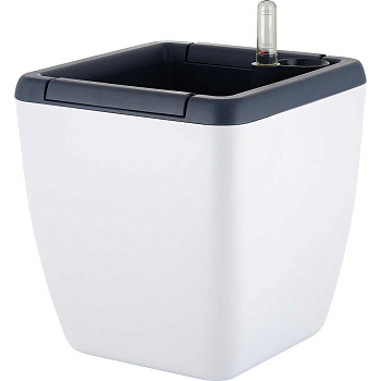 Горшок автополив МЮНХЕН 2,2/5л квад Бел Жасмин х8 