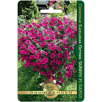 Петуния Тайфун Парпл Биотехника Ц 