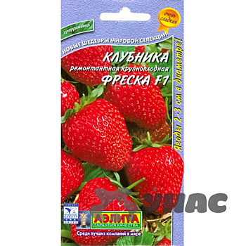 Земляника Фреска ремонтантная крупнопл  Аэлита Цx10