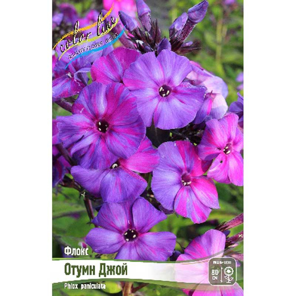 8047 Биг-Пак Флокс Отумн Джой I 25 шт