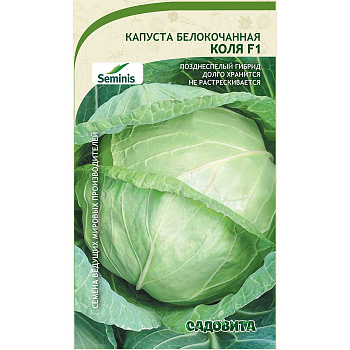 Капуста Коля белокочанная F1 10 шт Seminis/Садовита Ц