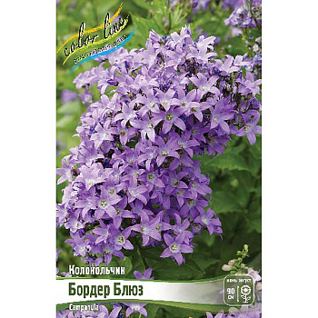 16429 Биг-Пак Колокольчик Бордер Блюз I 25 шт 