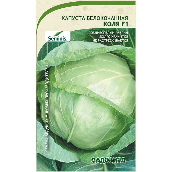 Капуста Коля белокочанная F1 10 шт Seminis/Садовита Ц