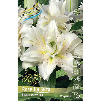 Лилия Roselily Зита 12/14 5 шт 